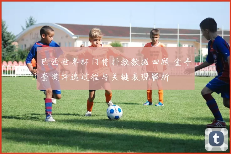 巴西世界杯门将扑救数据回顾 金手套奖评选过程与关键表现解析