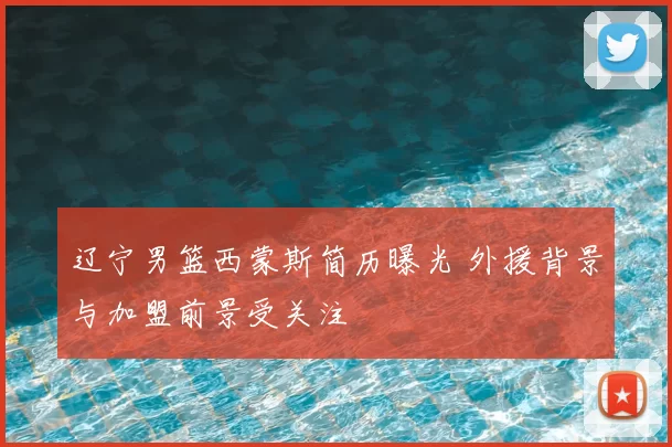 辽宁男篮西蒙斯简历曝光 外援背景与加盟前景受关注