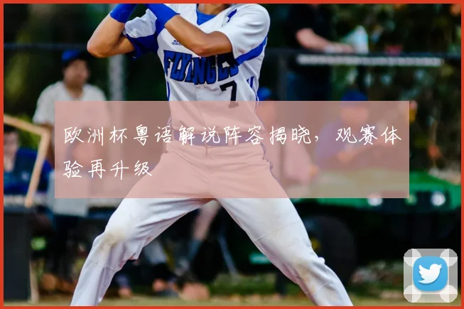 欧洲杯粤语解说阵容揭晓,观赛体验再升级