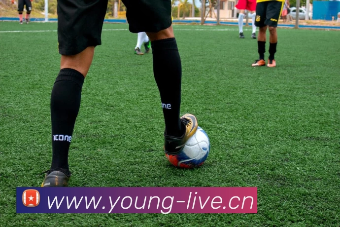 三亿(集团)体育科技有限公司官网品牌故事