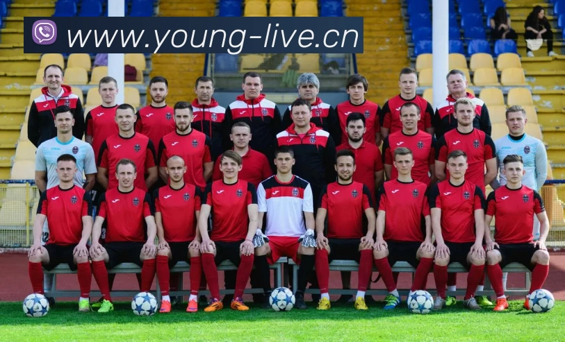 三亿(集团)体育科技有限公司官网服务体系